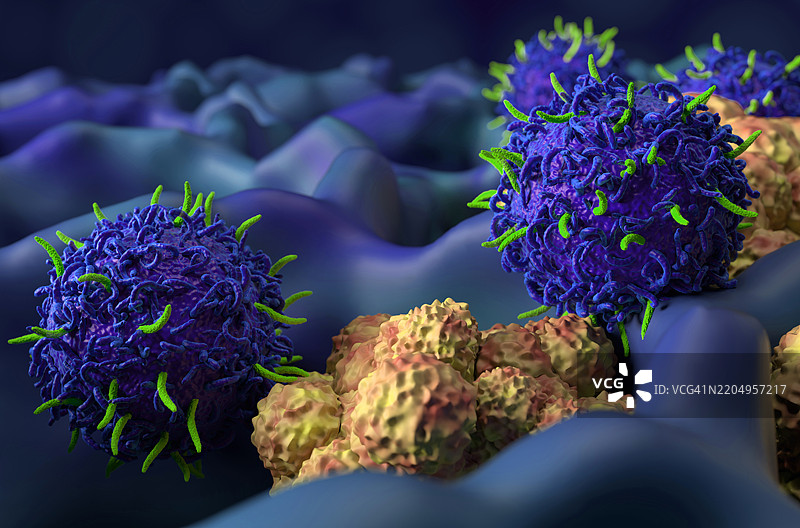 肺癌的CAR-T细胞疗法插图图片素材