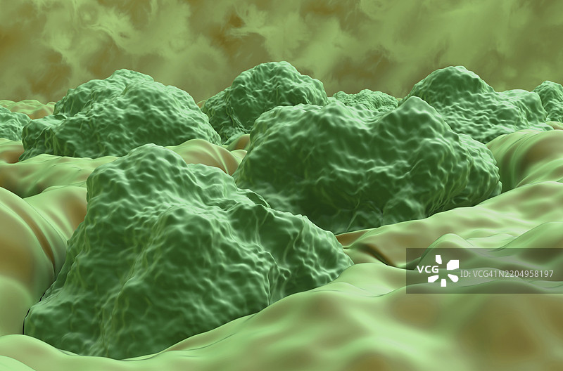 味蕾插图图片素材