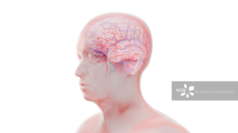 神经退行性疾病的概念插图图片素材