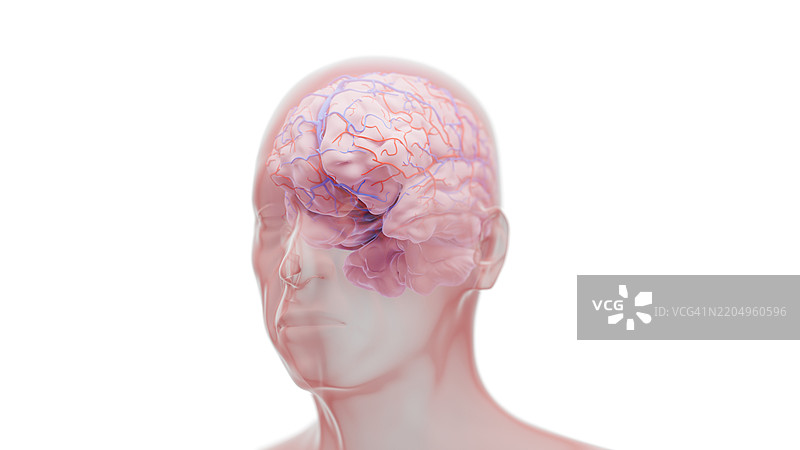 神经退行性疾病的概念插图图片素材