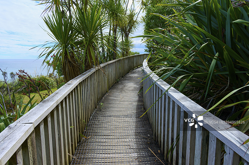 一条木栈道穿过茂密的植被，俯瞰海洋，位于新西兰北岛科罗曼德半岛的教堂湾，哈希。图片素材