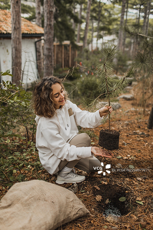 女性在森林户外环境中种植幼小的松树图片素材