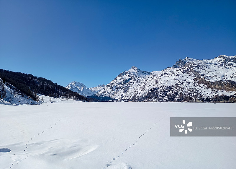 在恩嘎丁的冰冻湖面上越野滑雪图片素材