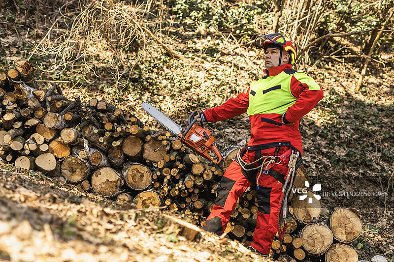 树艺师正在修剪树枝图片素材