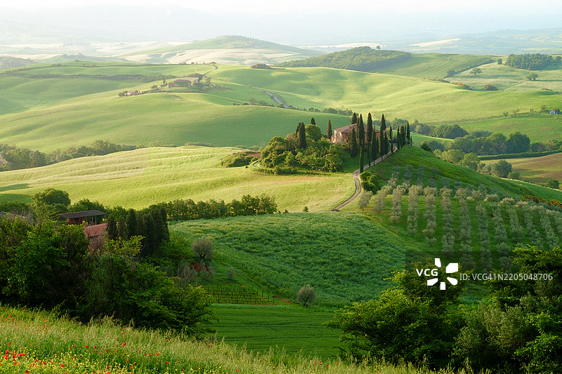 田园诗般的托斯卡纳春季风光图片素材