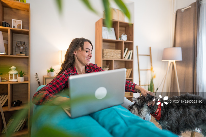 辅助犬图片素材