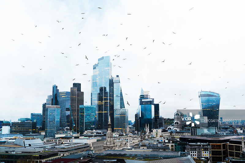 伦敦金融区与鸟类图片素材