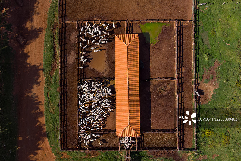 牛圈的鸟瞰图图片素材