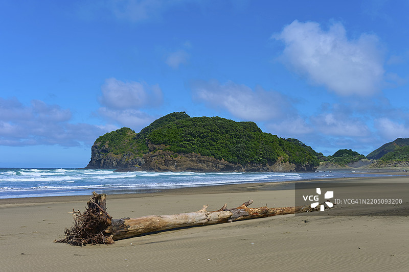 一棵树干躺在一个长满杂草的岩石前,沙滩上在蓝天之下,贝瑟尔斯海滩,特亨加,奥克兰,新西兰,南太平洋图片素材