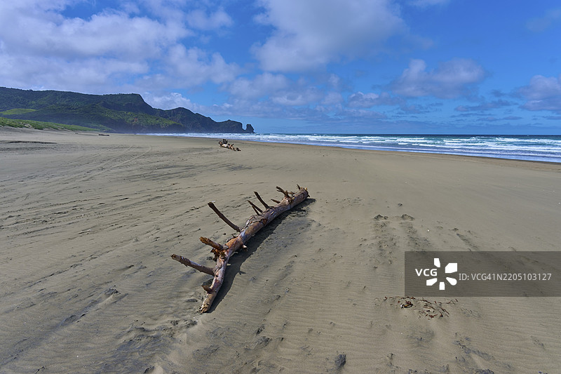 一块大漂流木躺在沙滩上，俯瞰着蔚蓝的大海，贝瑟尔斯海滩，特亨加，奥克兰，新西兰，南太平洋图片素材