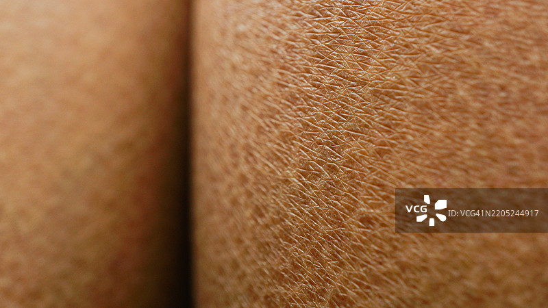 脱水干旱皮肤的微距摄影图片素材