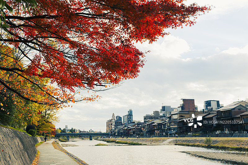 京都市鴨川的秋季景色图片素材