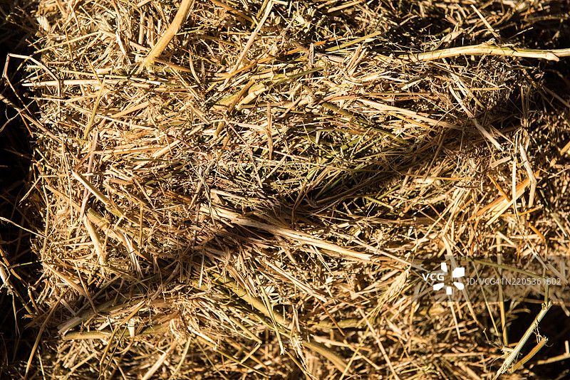 干草背景图片素材