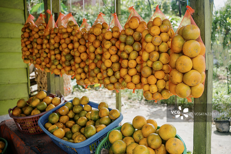 市场摊位上挂着一网橘子图片素材