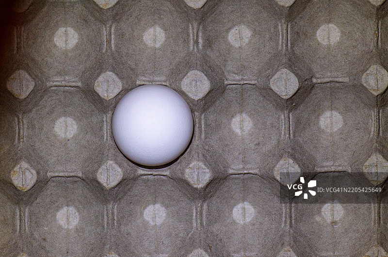 一个鸡蛋放在蛋 carton 上图片素材