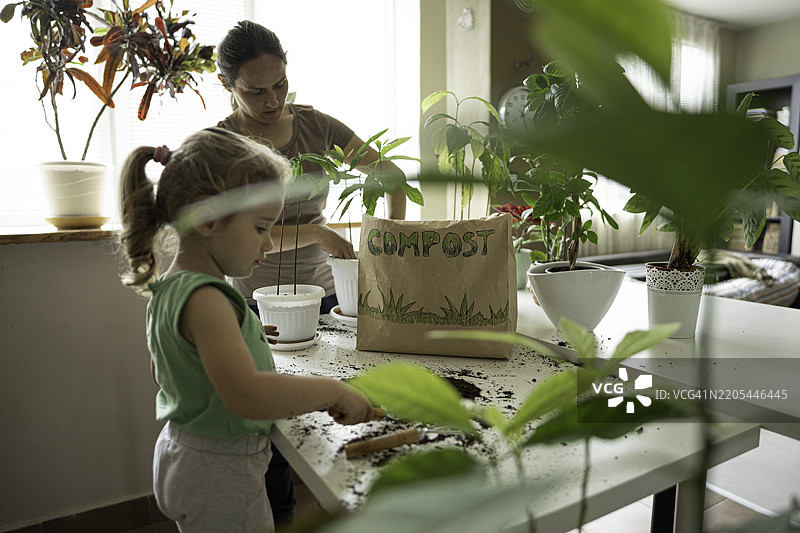 绿色思维。儿童家庭园艺活动。图片素材