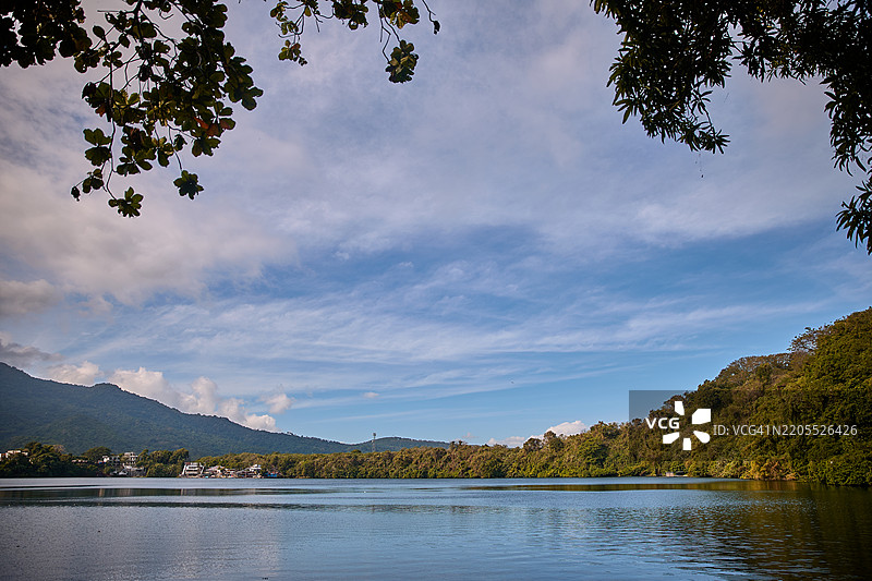 树下的鳄鱼湖景色，背景是马基林山的山脚。图片素材