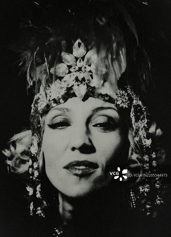 夜之女王。图片素材