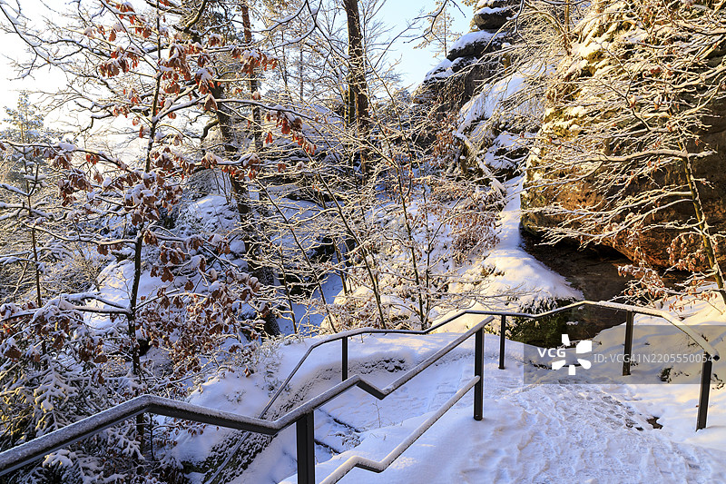 巴斯泰的冬季魔法，蜿蜒的徒步小径通往拉滕，萨克森瑞士，萨克森，德国，欧洲图片素材