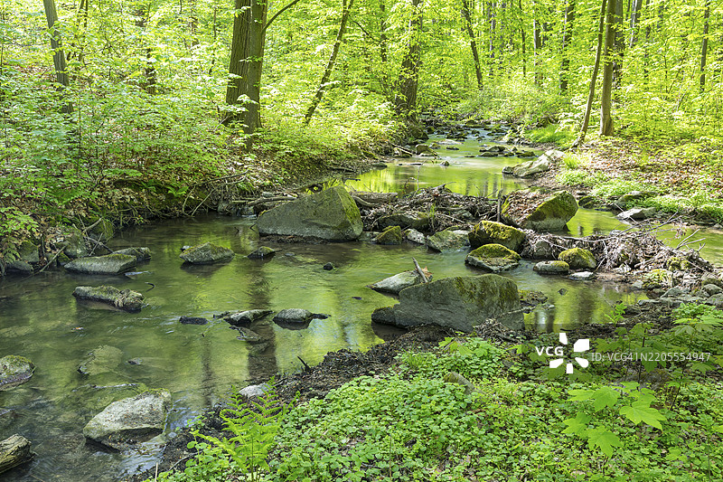 科蒂泽尔水流在德国萨克森州魏森贝格的劳斯克斯卡拉流淌图片素材