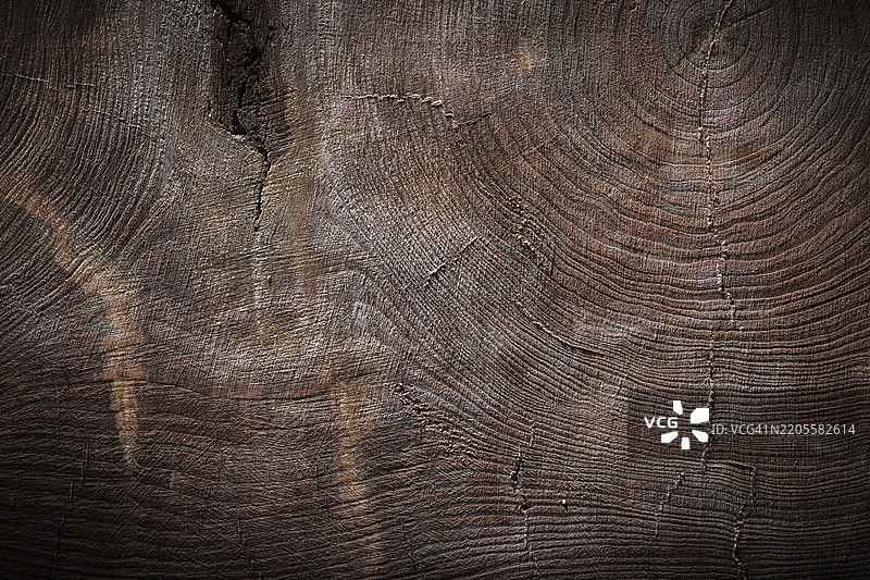 非常古老的复古木材纹理，树干横截面图片素材