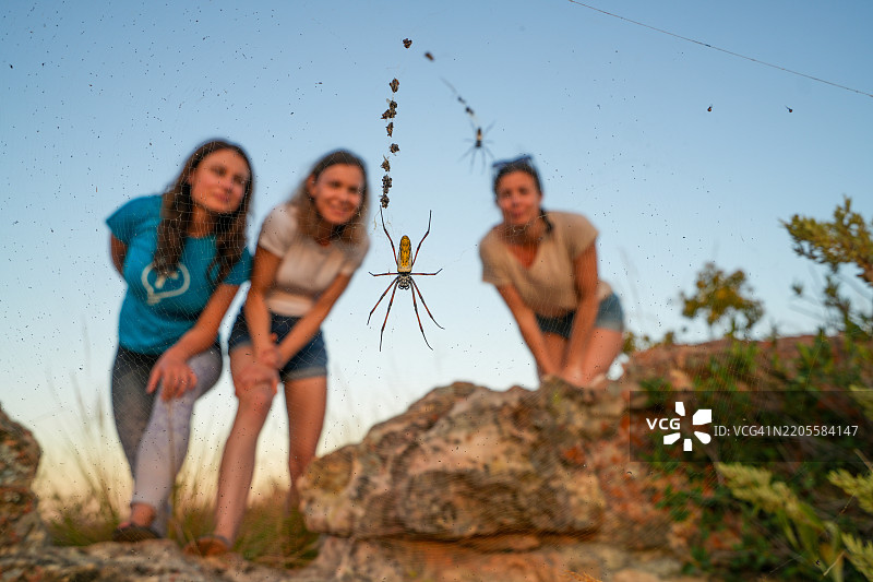 三位年轻女性在观察马达加斯加的大红腿金蛛。图片素材