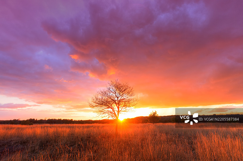 霍恩德罗的申肯舒尔山日落图片素材