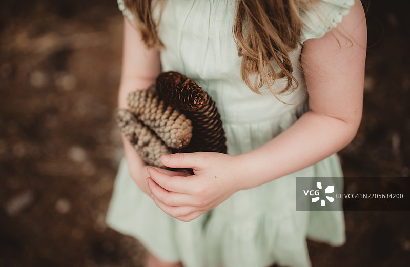 小女孩手里拿着松果图片素材