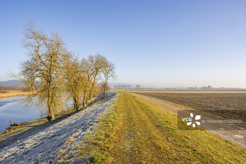 多瑙河岸边的清晨风景，霜冻覆盖，德国巴伐利亚州雷根斯堡的沃尔特图片素材
