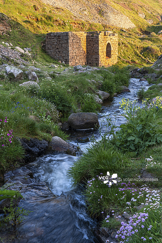 被称为轮坑的遗址，属于博斯韦登矿。溪流，开满各种野花的草地，包括海石竹（Armeria maritima）。傍晚的光线，黄金时刻。圣贾斯特，彭赞斯，康沃尔，英格兰，英国图片素材