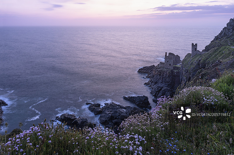 博塔拉克矿的皇冠引擎房遗址，也称为皇冠矿。前景中盛开的海滨石蒜（Armeria maritima）。长时间曝光。日落后的傍晚。博塔拉克，彭赞斯，康沃尔，英格兰，英国图片素材