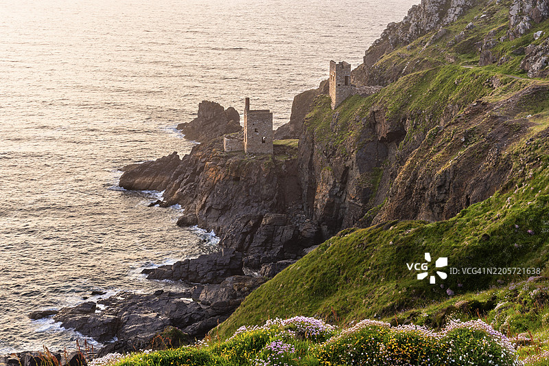 博塔拉克矿的皇冠引擎房遗址,也称为皇冠矿。在它面前盛开的海滨石竹(Armeria maritima),傍晚,金色时光。博塔拉克,彭赞斯,康沃尔,英格兰,英国图片素材