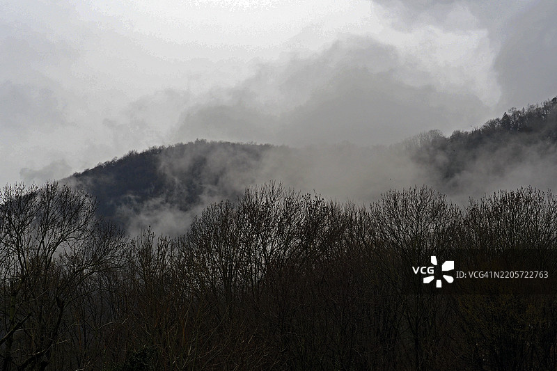 阴暗的山坡，光秃的树木，暴风雨般的灰色天空图片素材