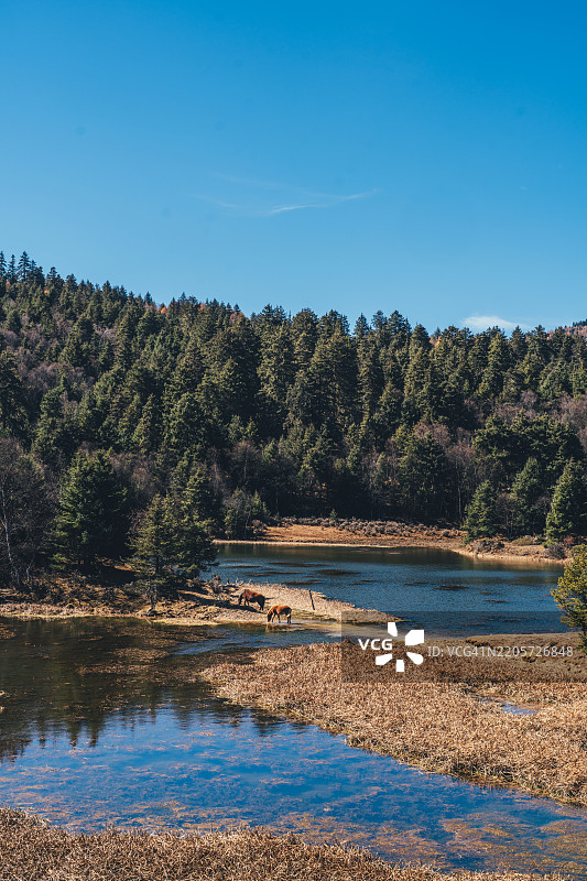 云南省香格里拉普达措国家公园的倒影湖图片素材