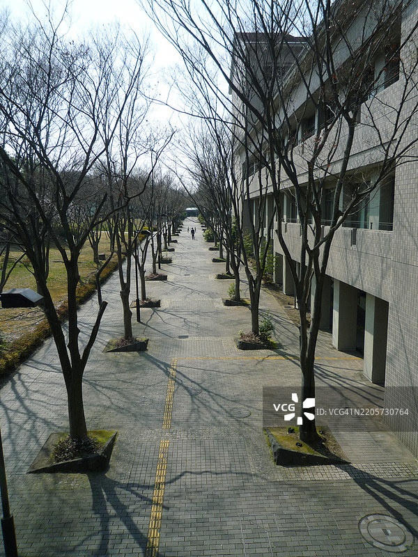 冬季宁静的小径图片素材