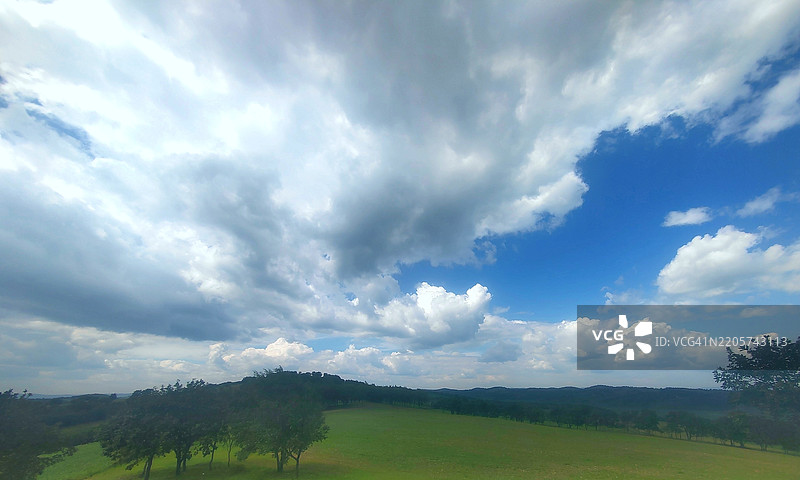 田野上的树木与天空相映成趣图片素材