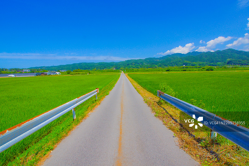 空旷的道路穿过田野，映衬着天空图片素材