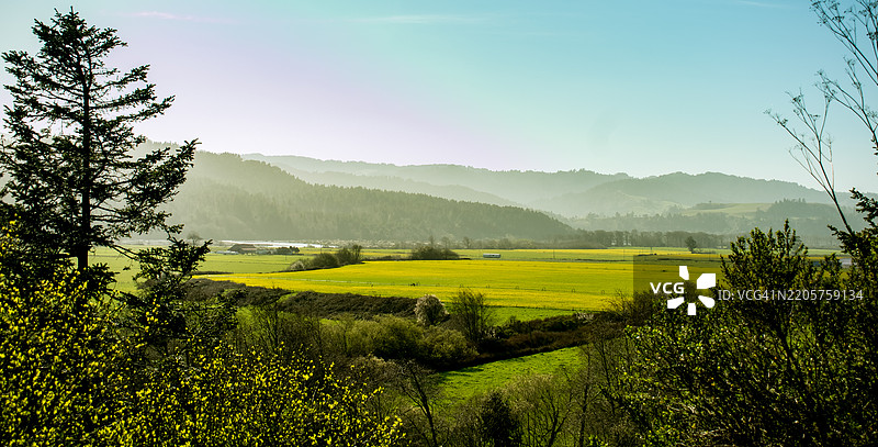 加利福尼亚州福图纳的天空下的田野美景图片素材