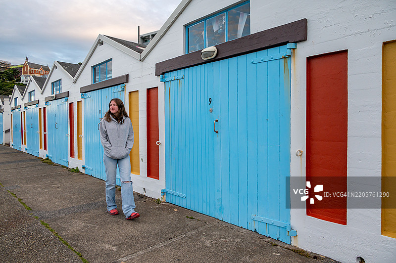新西兰惠灵顿美丽的小型彩色船屋图片素材