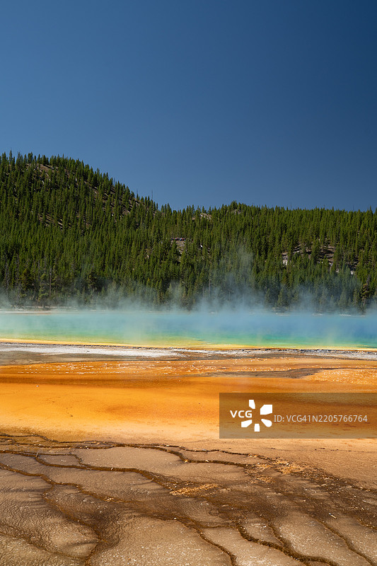 黄石国家公园的巨大彩虹温泉，怀俄明州，美国图片素材