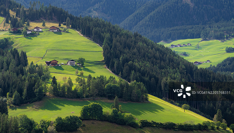 田野上树木的美丽景色图片素材