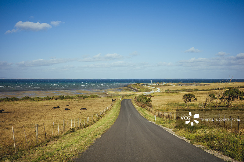 田野中的道路，背景是海洋和蓝天图片素材
