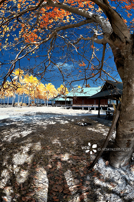 美好的回忆 III图片素材