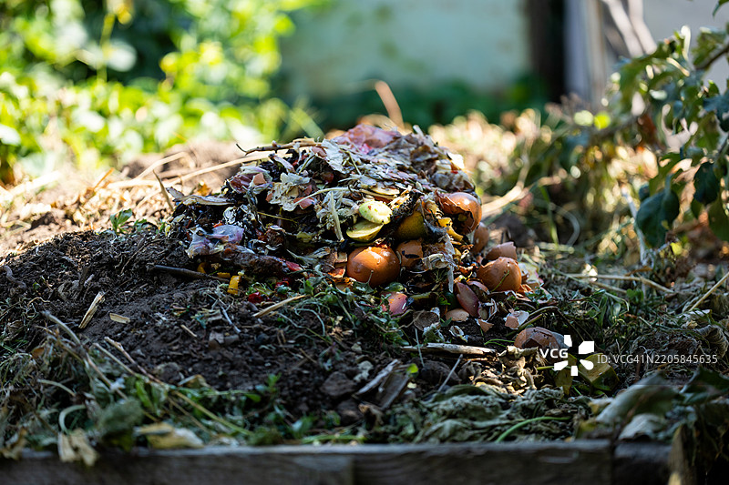 阳光明媚的花园环境中的有机新鲜堆肥堆图片素材