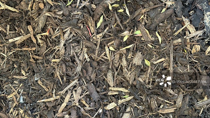 落叶堆肥的特写镜头图片素材
