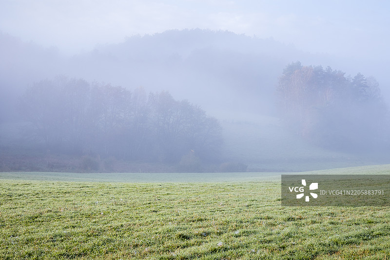 被雾气笼罩的草地和森林图片素材