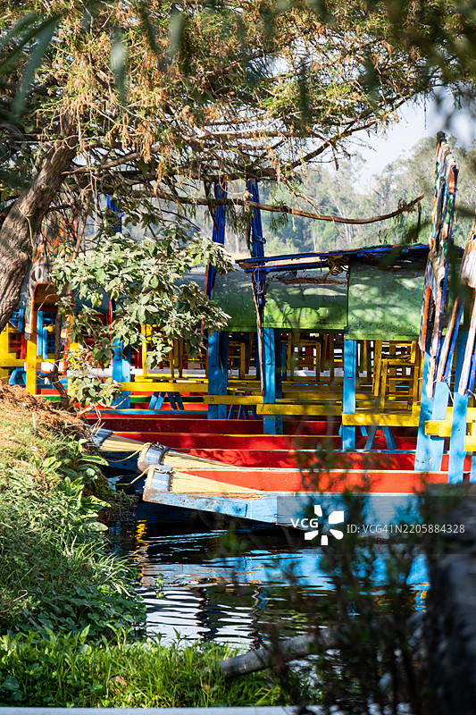 索奇米尔科运河中的特拉希内拉船 - 像贡多拉一样的船 - 墨西哥城，墨西哥图片素材