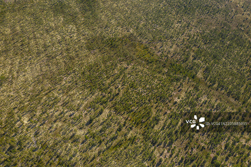 挪威伦达伦市的森林航拍照片图片素材