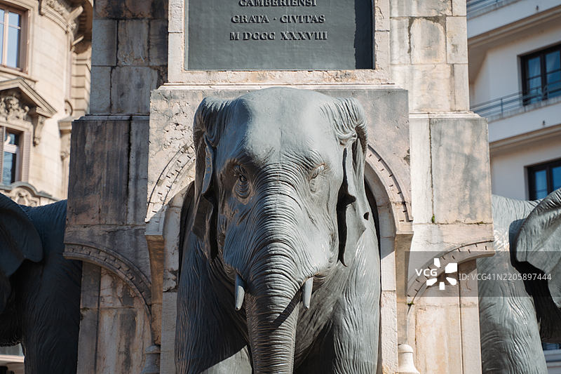 尚贝里的大象喷泉图片素材