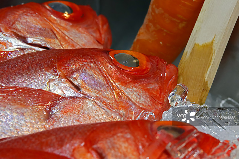 鱼市场上冰上的新鲜红鱼图片素材